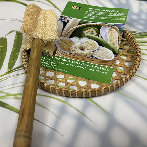 Cây rửa ly bốn cánh