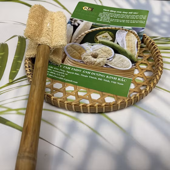 Cây rửa ly bốn cánh