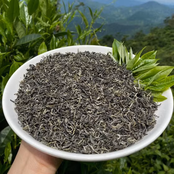 Chè Shan tuyết Hồng Thái 1 tôm 2 lá 