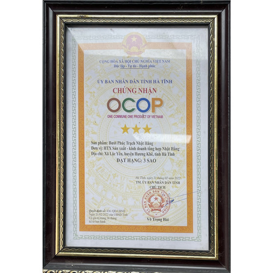 Bưởi Phúc Trạch Nhật Hằng