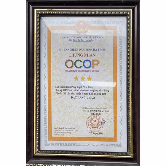 Bưởi Phúc Trạch Nhật Hằng