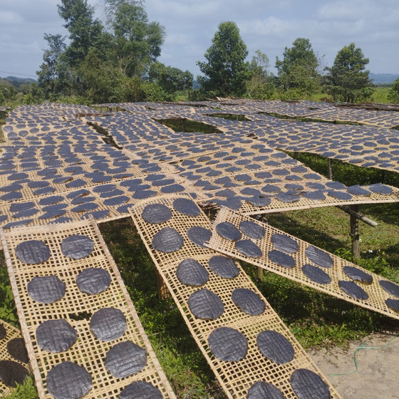 Bánh đa Ninh Cường