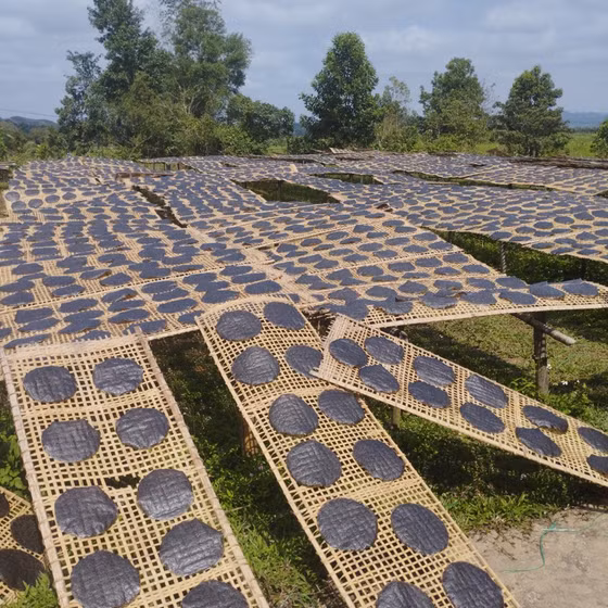 Bánh đa Ninh Cường