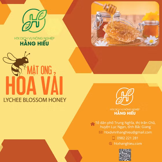 Mật ong hoa vải Hằng Hiếu