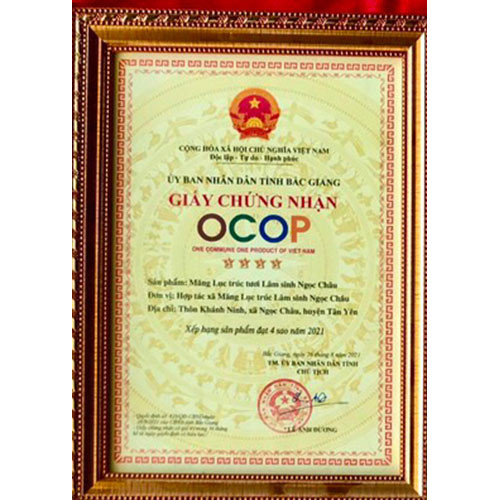 Măng Lục trúc tươi Lâm Sinh Ngọc Châu 