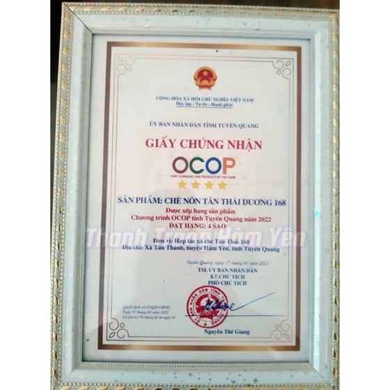 Chè nõn Tân Thái Dương 168