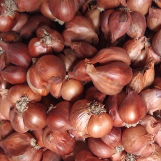 Hành cắt lát sấy khô bà Lý