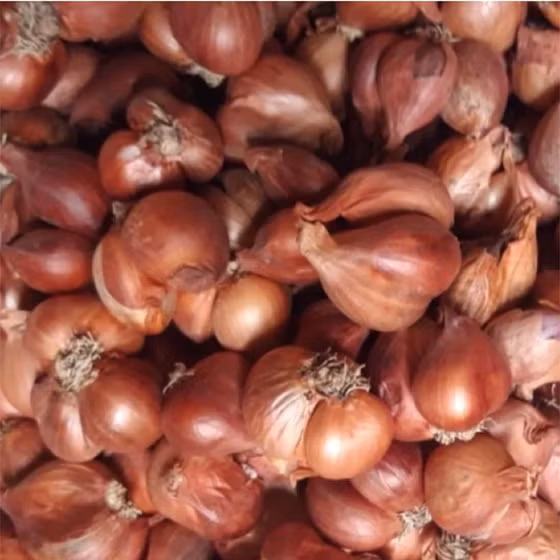 Hành cắt lát sấy khô bà Lý