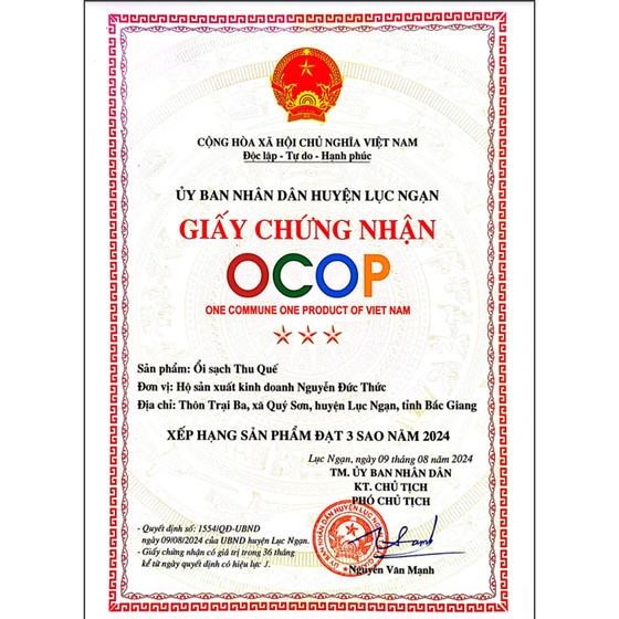 Ổi sạch Thu Quế