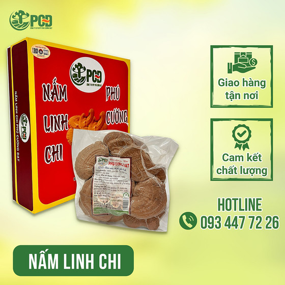 Nấm linh chi Phú Cường Đạt
