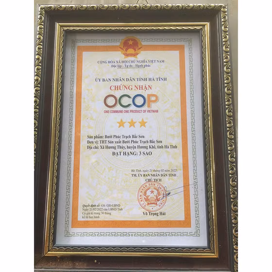 Bưởi Phúc Trạch Bắc Sơn