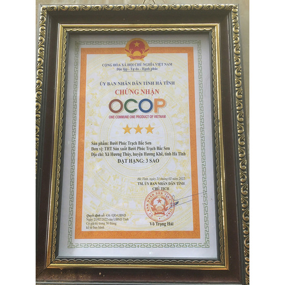 Bưởi Phúc Trạch Bắc Sơn