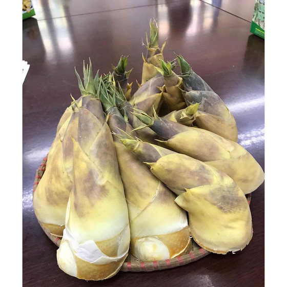 Măng Lục trúc tươi Lâm Sinh Ngọc Châu 