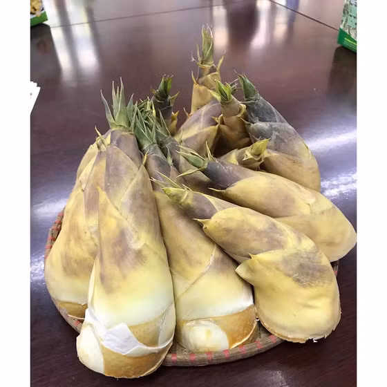 Măng Lục trúc tươi Lâm Sinh Ngọc Châu 