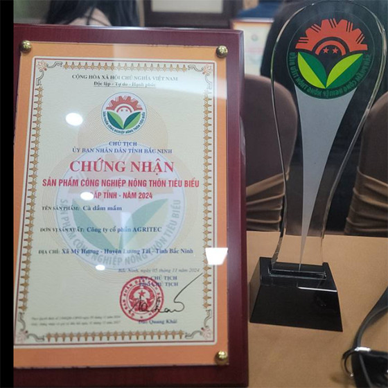 Cà dầm mắm bà Mai