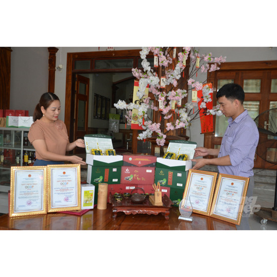 Chè xanh Ngọc Thúy nõn