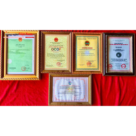 Măng Lục trúc tươi Lâm Sinh Ngọc Châu 