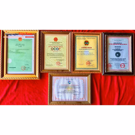 Măng Lục trúc tươi Lâm Sinh Ngọc Châu 