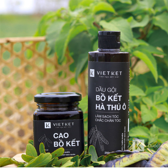 Dầu gội đầu bồ kết-hà thủ ô