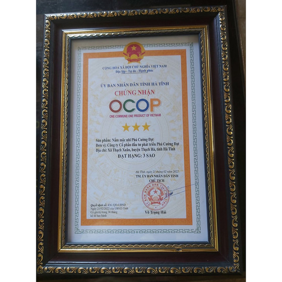 Nấm mộc nhĩ Phú Cường Đạt