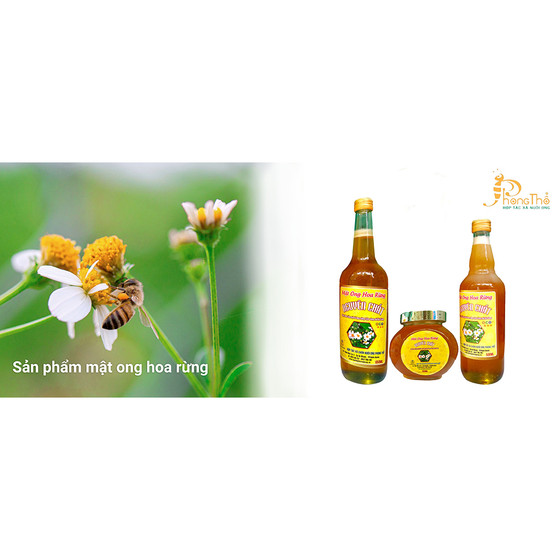 Mật ong hoa rừng
