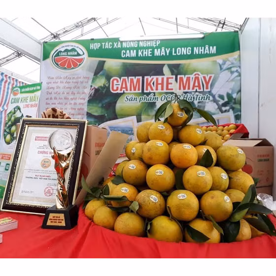 Cam Khe Mây Long Nhâm