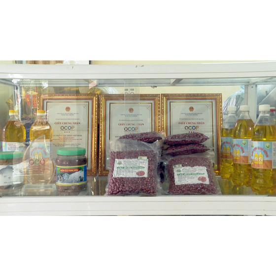 Dầu lạc Thổ Bình