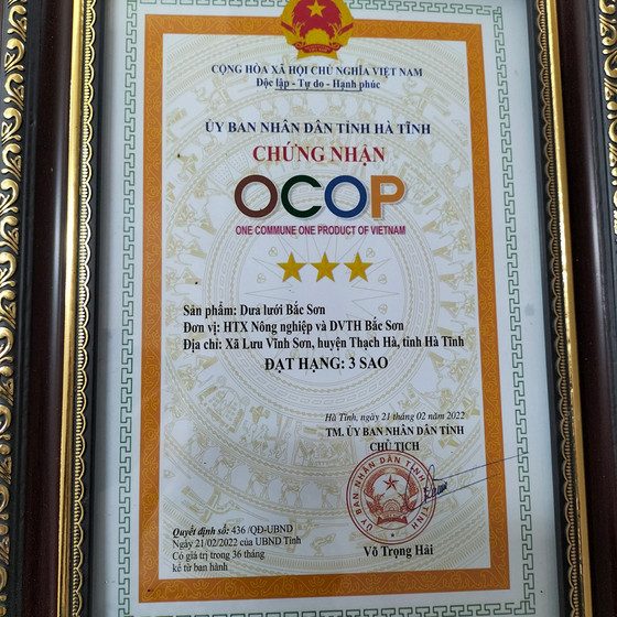 Dưa lưới Bắc Sơn