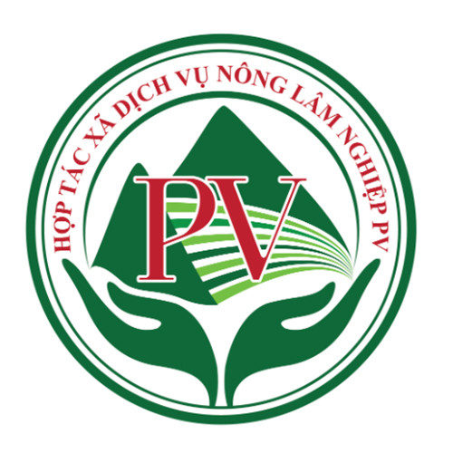 Cao ngựa bạch Phong Vân