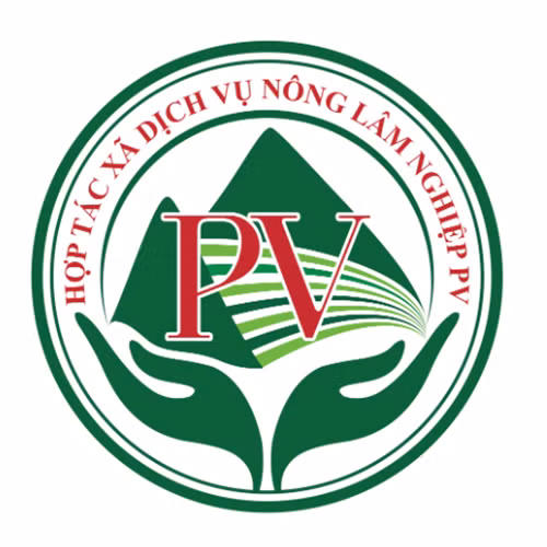 Cao ngựa bạch Phong Vân