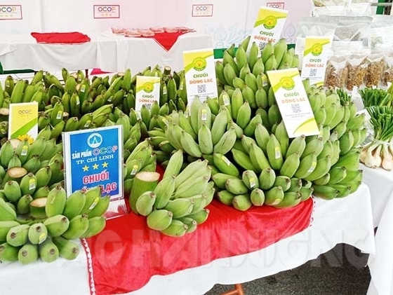 Chuối Đồng Lạc