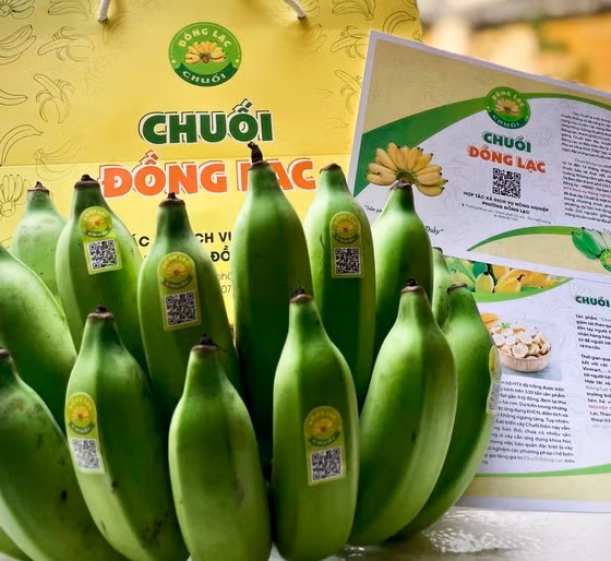 Chuối Đồng Lạc