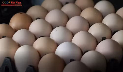 Trứng gà ta Chiêu Viên