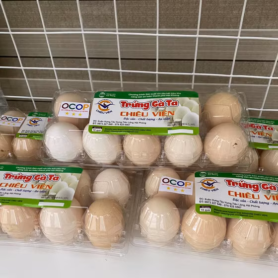 Trứng gà ta Chiêu Viên