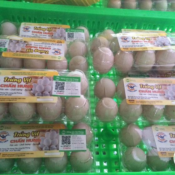 Trứng vịt Chấn Hưng