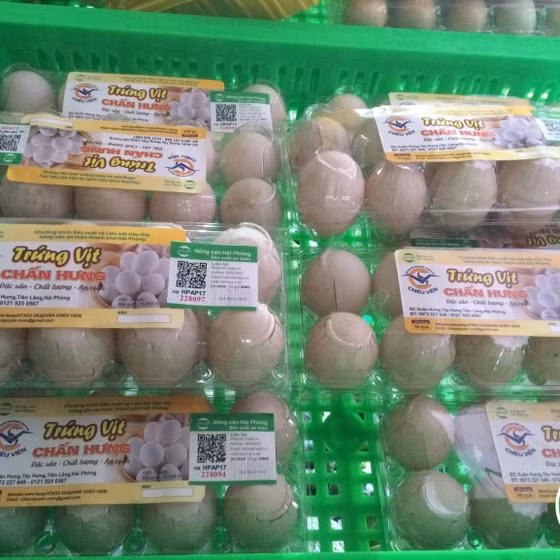 Trứng vịt Chấn Hưng