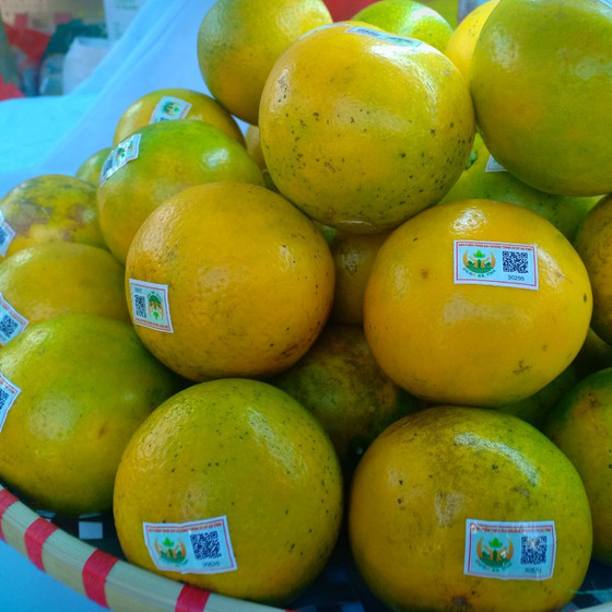 Cam giòn Xuân Hòa Thượng Lộc