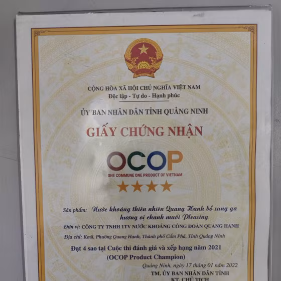 Nước khoáng thiên nhiên Quang Hanh vị chanh muối Pleasing 