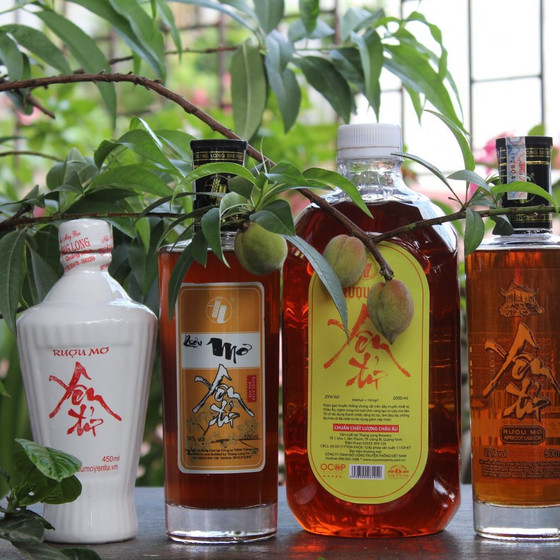 Rượu mơ Yên Tử 