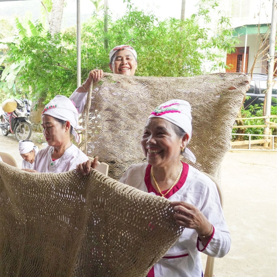 Võng gai Giai Xuân
