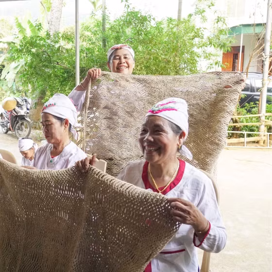 Võng gai Giai Xuân