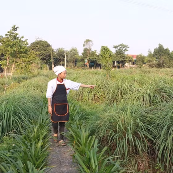 Nước cốt canh dinh dưỡng Tinh Hoa