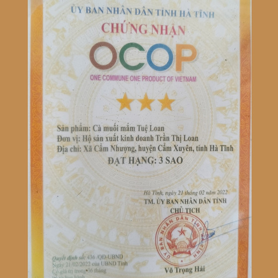 Cà muối mắm Tuệ Loan