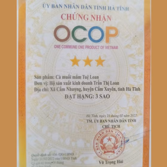 Cà muối mắm Tuệ Loan