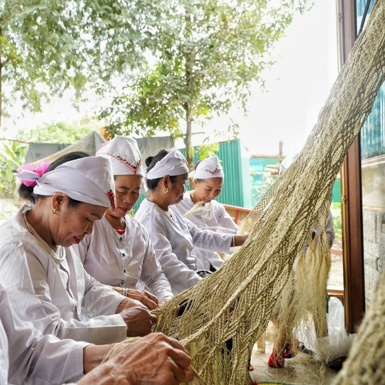 Võng gai Giai Xuân
