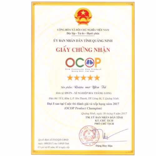 Rượu mơ Yên Tử 