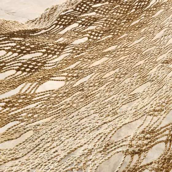 Võng gai Giai Xuân