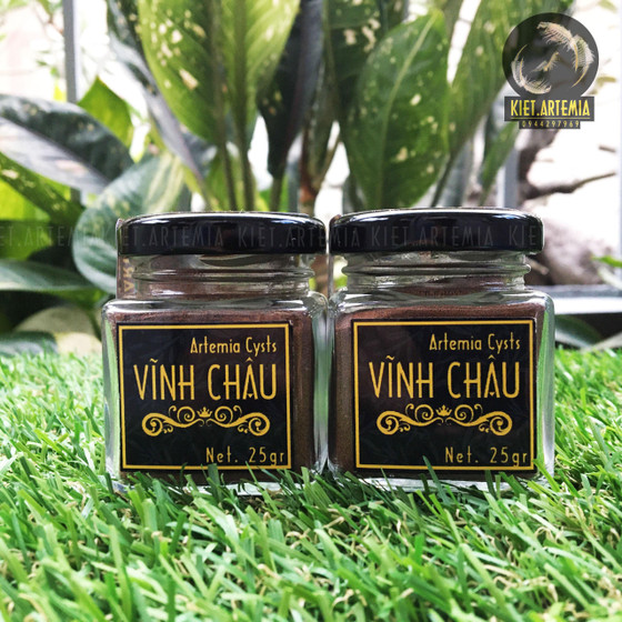 Trứng bào xác Artemia Vĩnh Châu