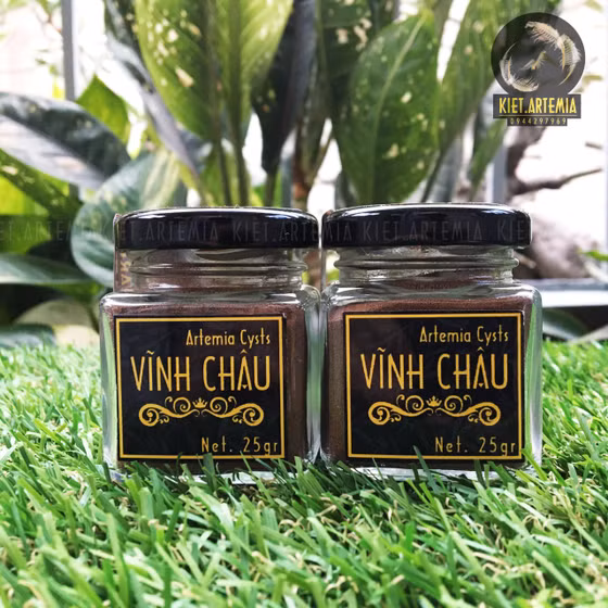 Trứng bào xác Artemia Vĩnh Châu