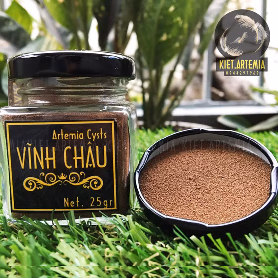 Trứng bào xác Artemia Vĩnh Châu